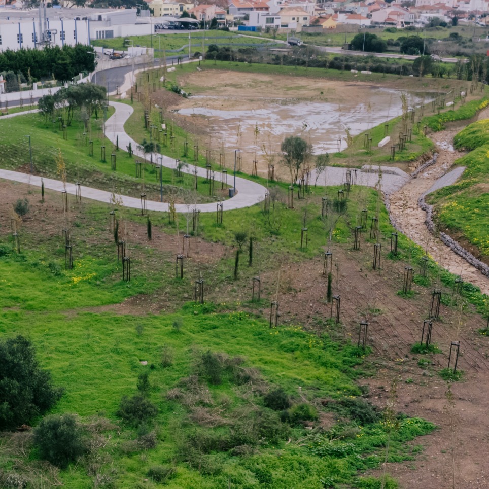 Fase II Requalificação Ribeira de Sassoeiros