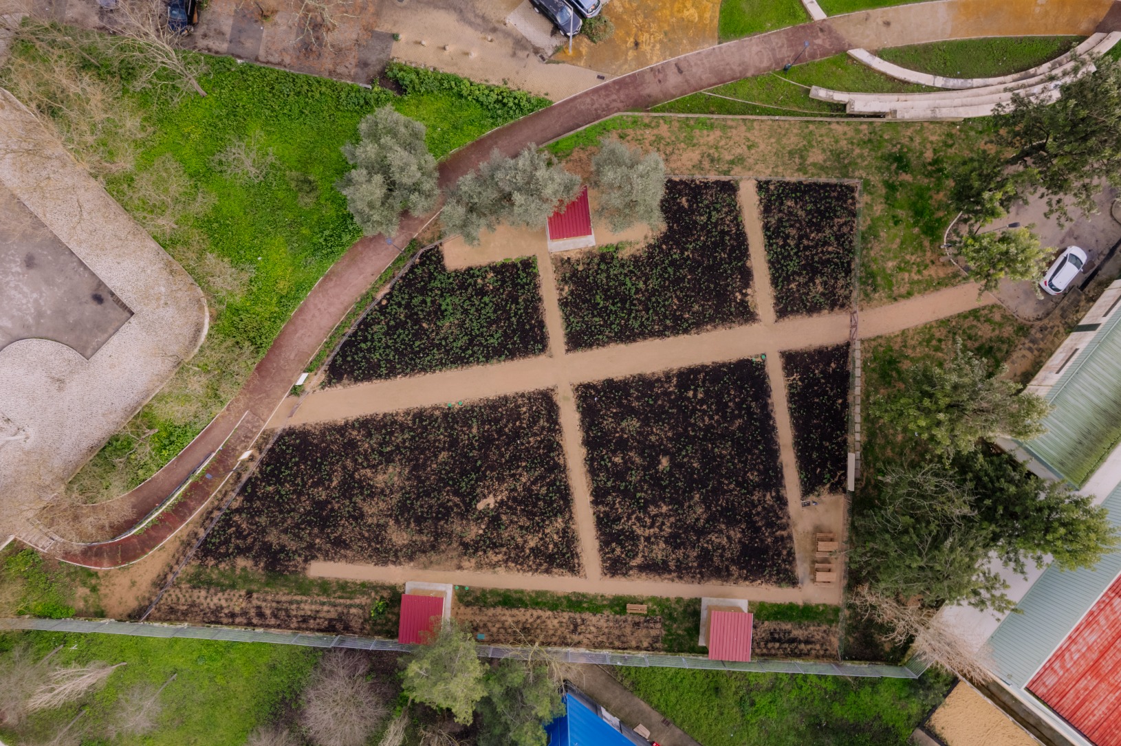 Hortas Municipais com plantações, abrigos de madeira, vista geral