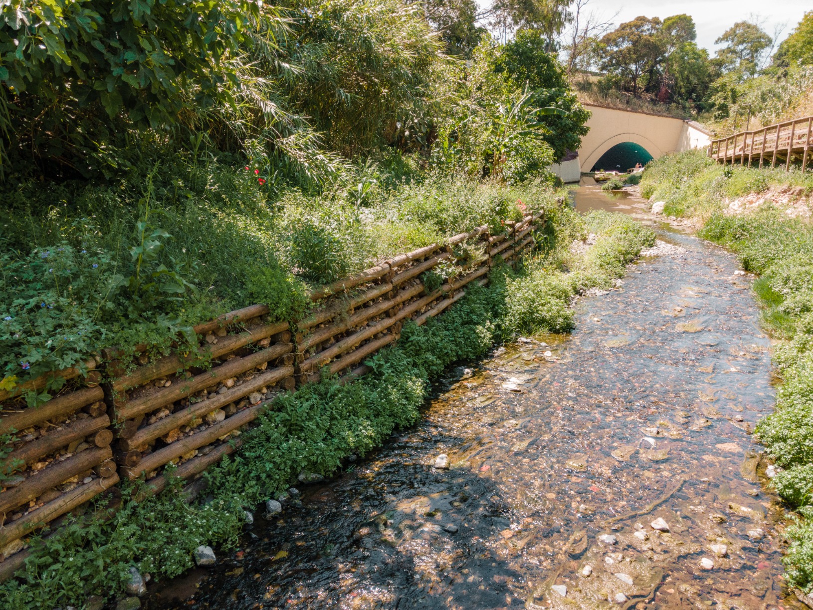 Eixo Verde e Azul do Parque do Rio Jamor - 1ª Fase